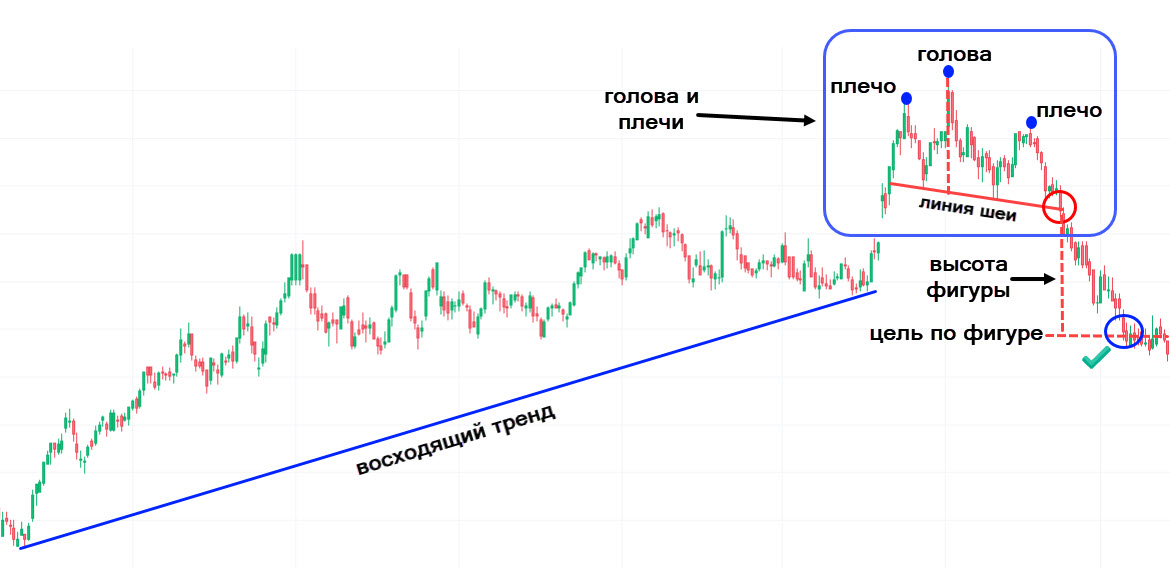 Голова и плечи